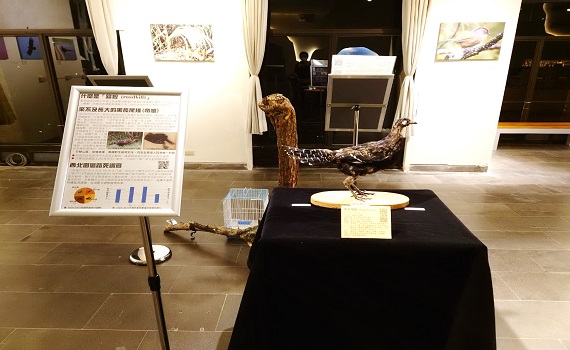 見聞山林飛羽—玉山塔塔加遊客中心鳥類特展饗宴登場 - https://www.watchmedia01.com