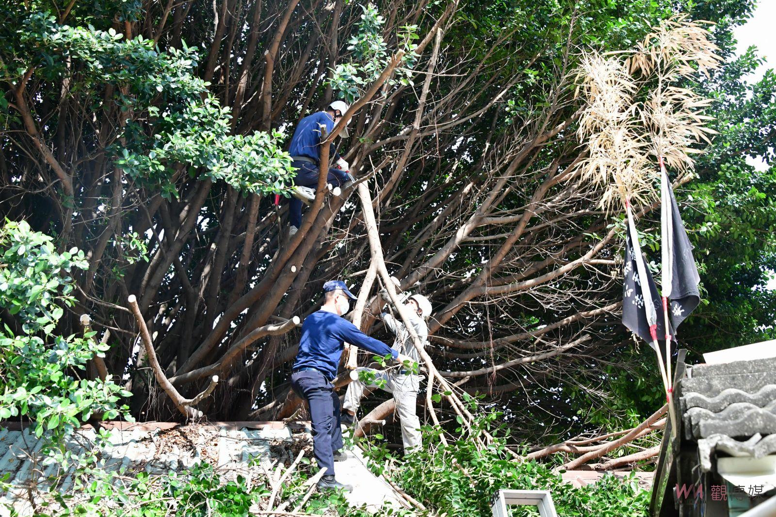 防颱超前布署　鹿港志工幫案家修剪大樹給一個安穩居住的家 - https://www.watchmedia01.com