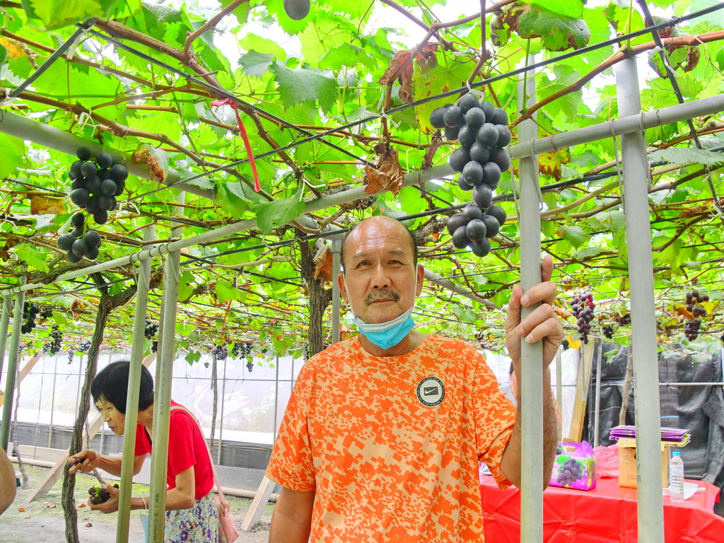 溪湖葡萄青農創造品牌價值 賣幸福感 - https://www.watchmedia01.com