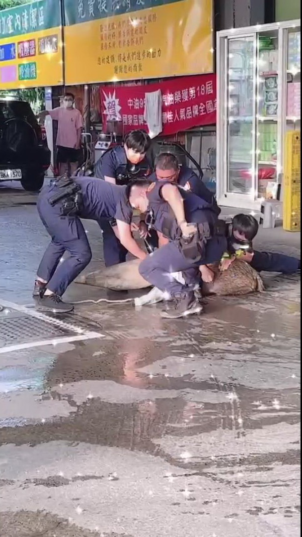 影／天篷元帥闖入加油站　員警飛撲、擒抱、跨坐勒頸奮戰 - https://www.watchmedia01.com