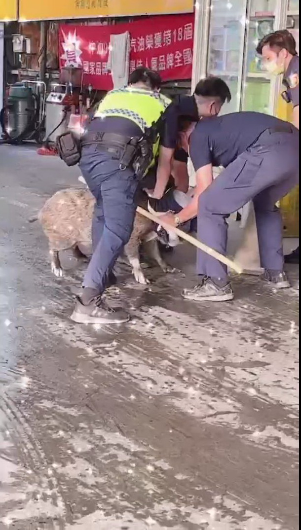 影／天篷元帥闖入加油站　員警飛撲、擒抱、跨坐勒頸奮戰 - https://www.watchmedia01.com