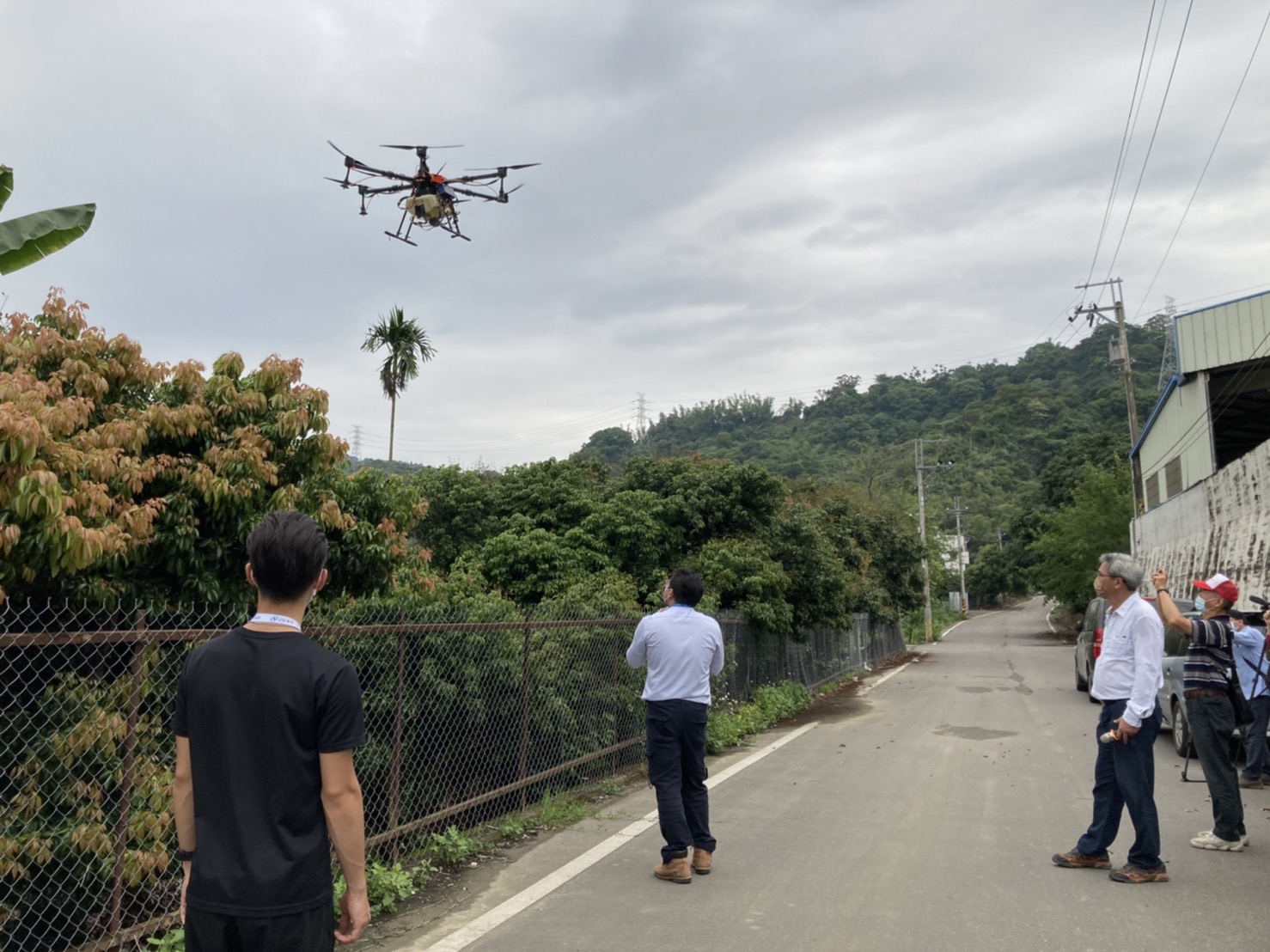 科技助力精準投藥　中市府首推無人機施藥治椿象 - https://www.watchmedia01.com