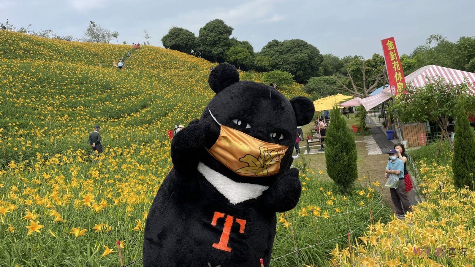 影／滿山黃澄澄的花朵怒放　喔熊組長虎山巖出任務　邀大家帶媽媽來看金針花 - https://www.watchmedia01.com