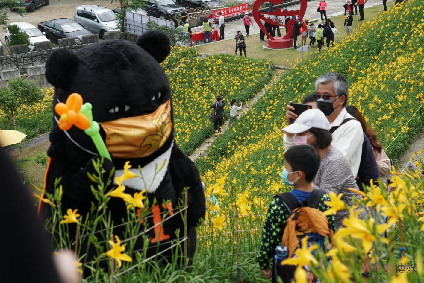 影／滿山黃澄澄的花朵怒放　喔熊組長虎山巖出任務　邀大家帶媽媽來看金針花 - https://www.watchmedia01.com
