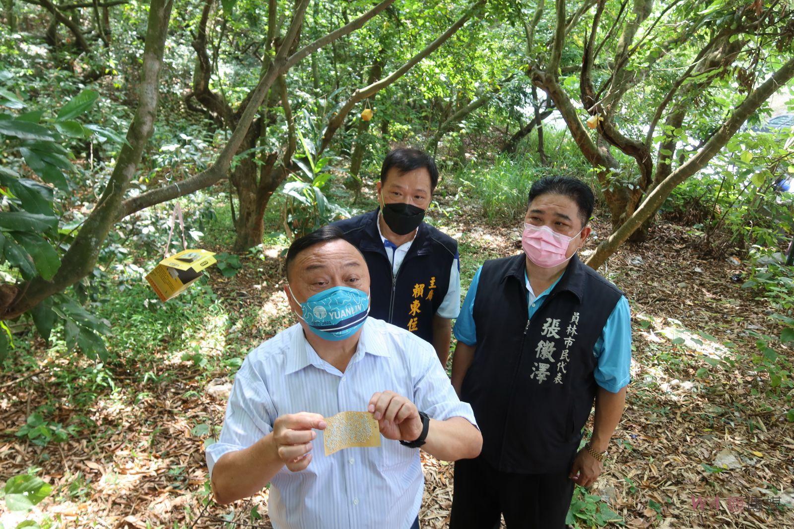 影／荔枝椿象蠢蠢欲動　員林市公所施放天敵平腹小蜂32萬大軍 - https://www.watchmedia01.com