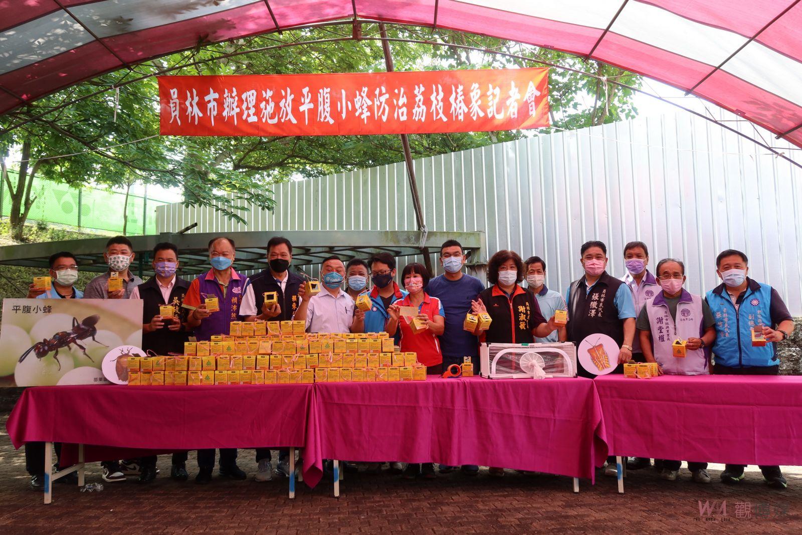 影／荔枝椿象蠢蠢欲動　員林市公所施放天敵平腹小蜂32萬大軍 - https://www.watchmedia01.com