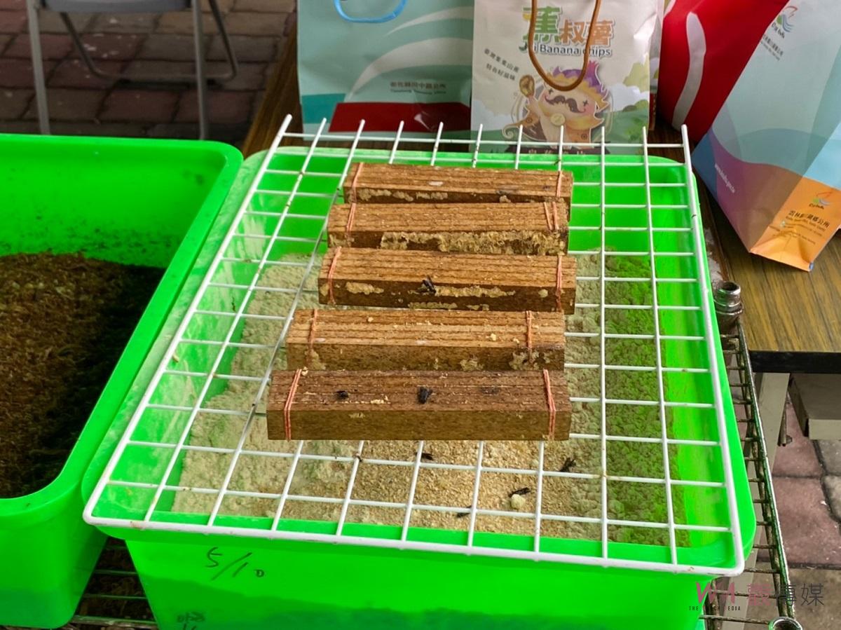 清潔隊首創跨縣市結盟廚餘去化　黑水虻資源分享推動環保 - https://www.watchmedia01.com