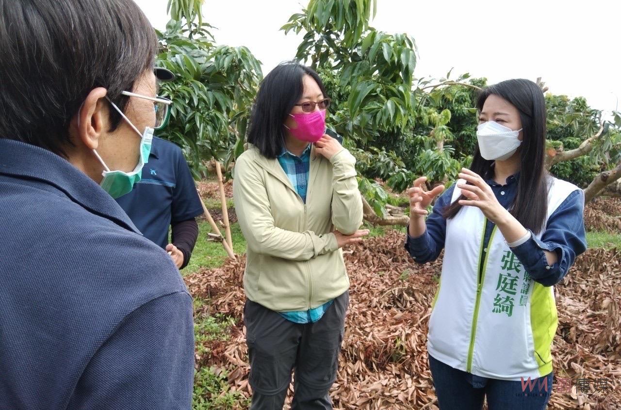 荔枝列入天然災害救助　農委會今天啟動四方會勘 - https://www.watchmedia01.com