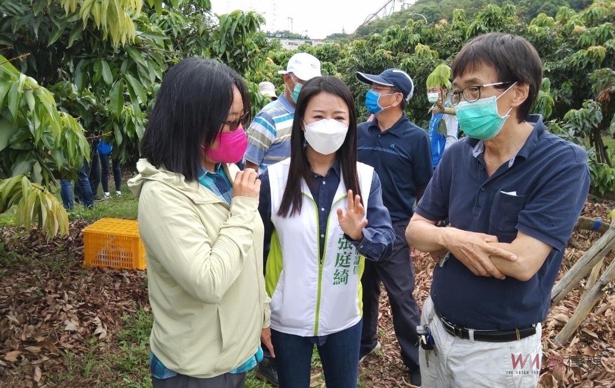 荔枝列入天然災害救助　農委會今天啟動四方會勘 - https://www.watchmedia01.com
