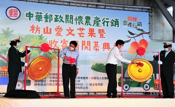 屏東成立愛文芒果收寄場　頂級規格芒果擄獲香港訂單 - https://www.watchmedia01.com