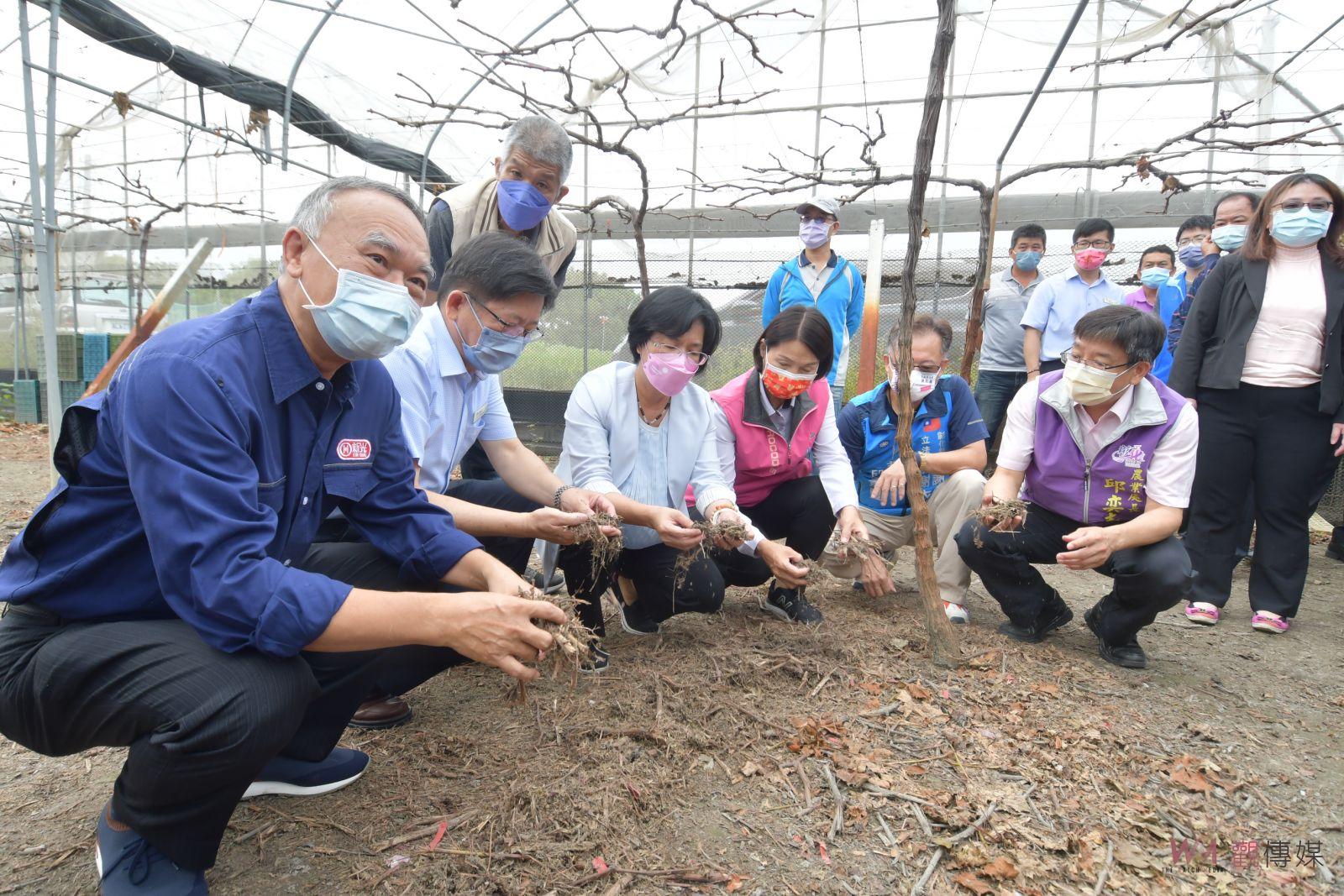 影／將葡萄藤轉化為肥料　解決廢棄葡萄藤枝條露天燃燒空汙問題 - https://www.watchmedia01.com