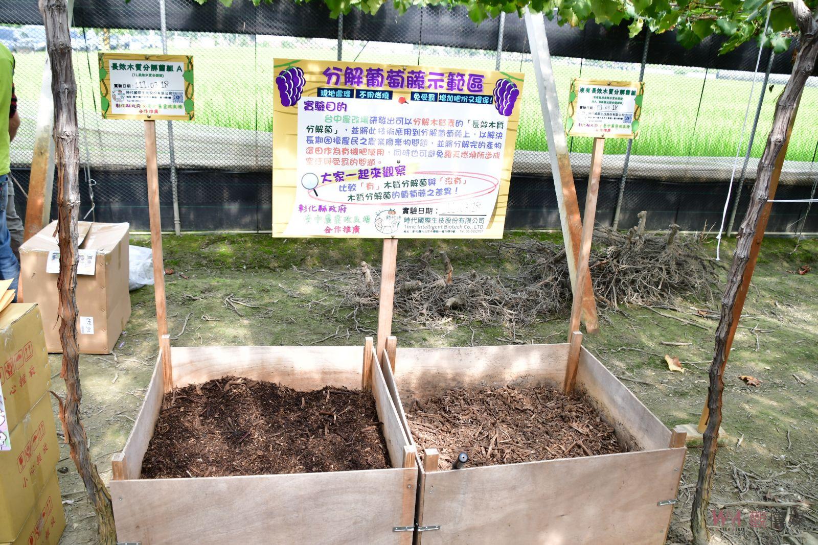 影／將葡萄藤轉化為肥料　解決廢棄葡萄藤枝條露天燃燒空汙問題 - https://www.watchmedia01.com