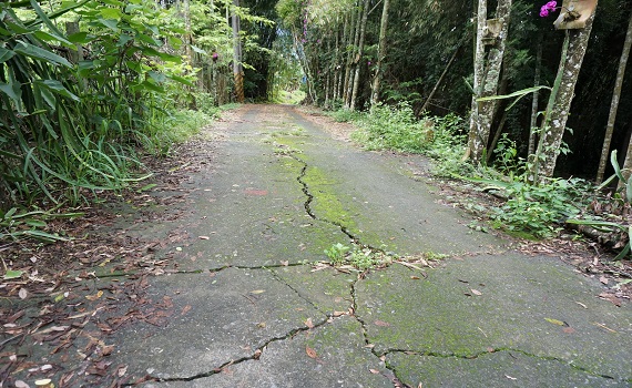 南投縣政府將花費約800萬元　改善集集多條道路及排水 - https://www.watchmedia01.com