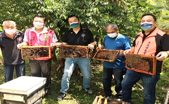 全國最高海拔絲瓜產地南投日月潭頭社活盆地 放30萬隻蜜蜂協助授粉 - https://www.watchmedia01.com