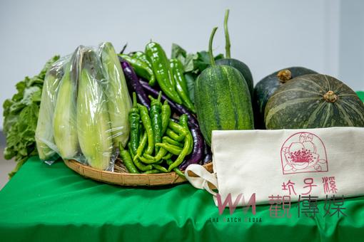 桃園夏日桃金孃節6/3~12艷麗登場 邀請市民體驗女神花海魅力 - https://www.watchmedia01.com