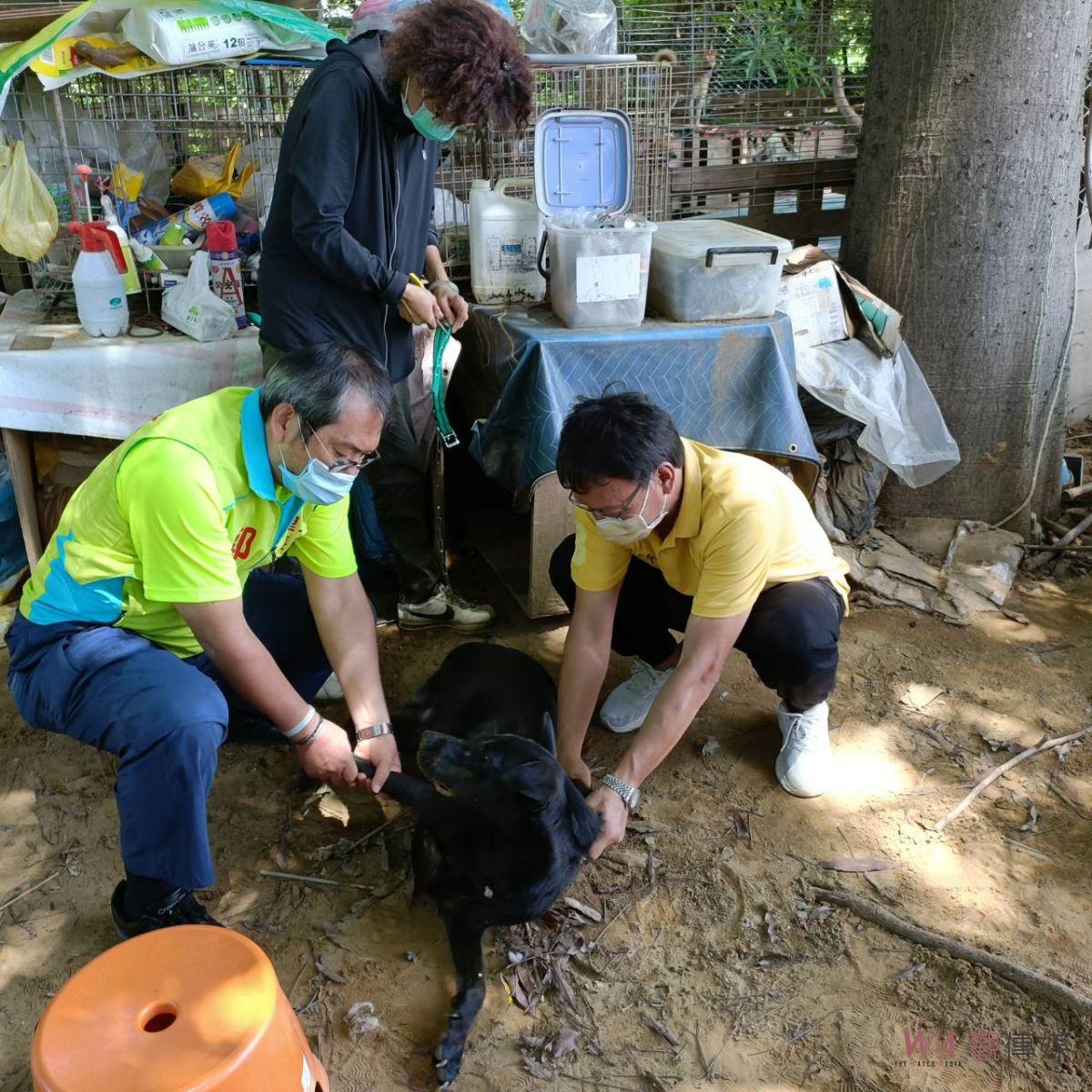 台南公私協力捕流浪犬 許崇洲出錢出力不居功 - https://www.watchmedia01.com