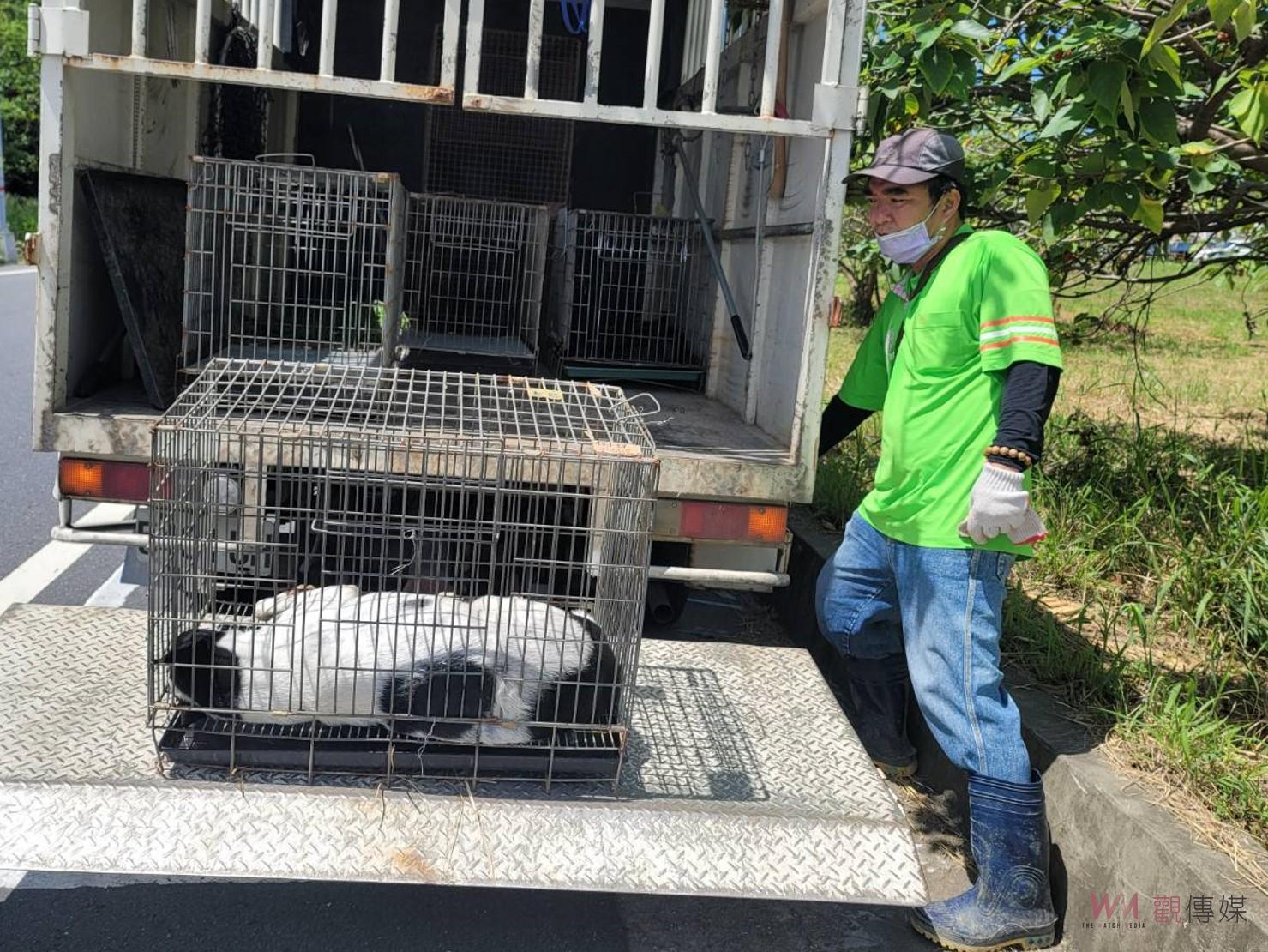 台南公私協力捕流浪犬 許崇洲出錢出力不居功 - https://www.watchmedia01.com