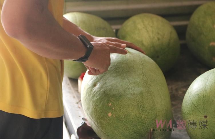 影／接地氣！ CIP好厝邊　支持彰化福興西瓜大力下單挺瓜農 - https://www.watchmedia01.com
