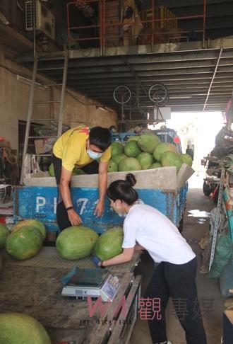 影／接地氣！ CIP好厝邊　支持彰化福興西瓜大力下單挺瓜農 - https://www.watchmedia01.com
