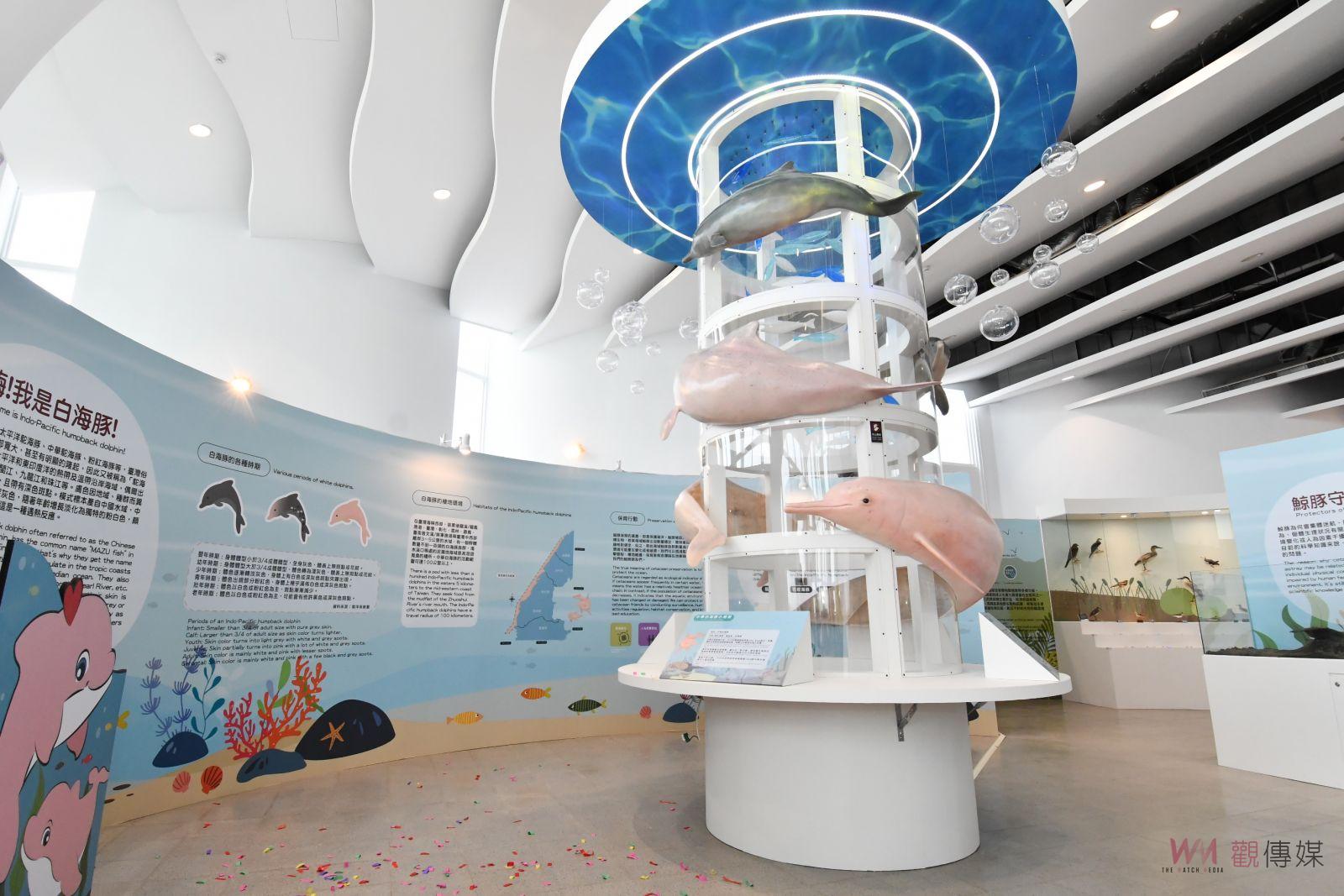 影／感受白色浪漫傳說！海洋生態特展在白色海豚屋開展 - https://www.watchmedia01.com