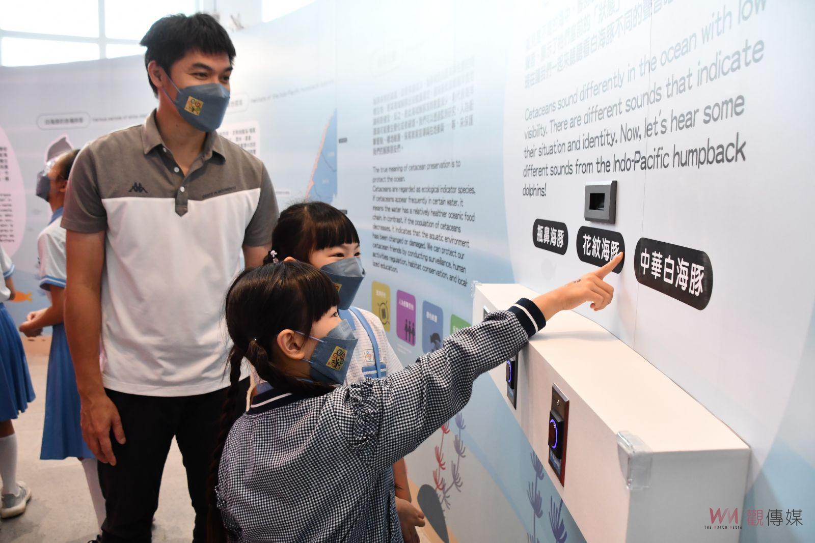 影／感受白色浪漫傳說！海洋生態特展在白色海豚屋開展 - https://www.watchmedia01.com
