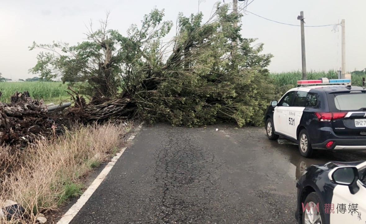 梅雨過境大樹橫臥路中　北港警拉封鎖線排除路障 - https://www.watchmedia01.com
