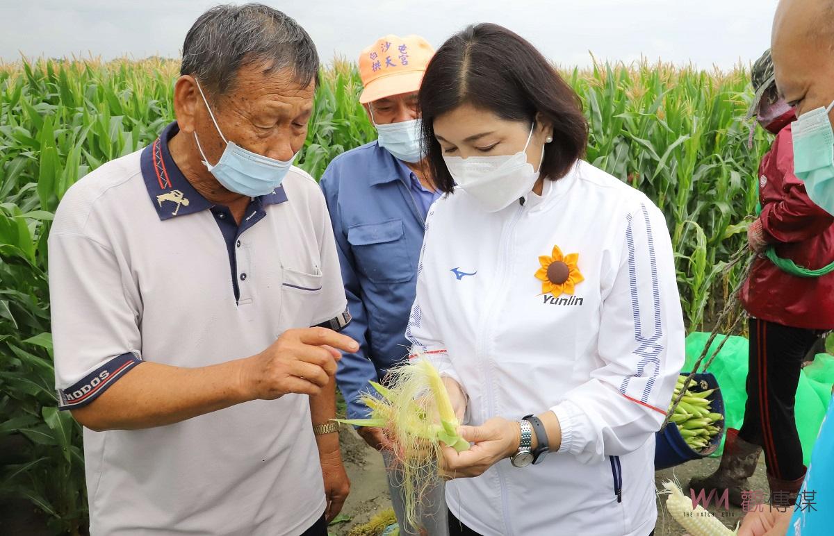 氣候不穩雲林玉米授粉不良　張麗善建議中央列入災害救助 - https://www.watchmedia01.com