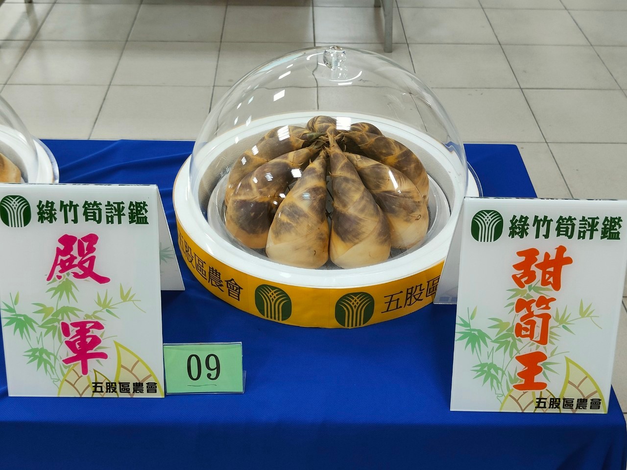 111年五股綠竹筍評鑑比賽 - https://www.watchmedia01.com
