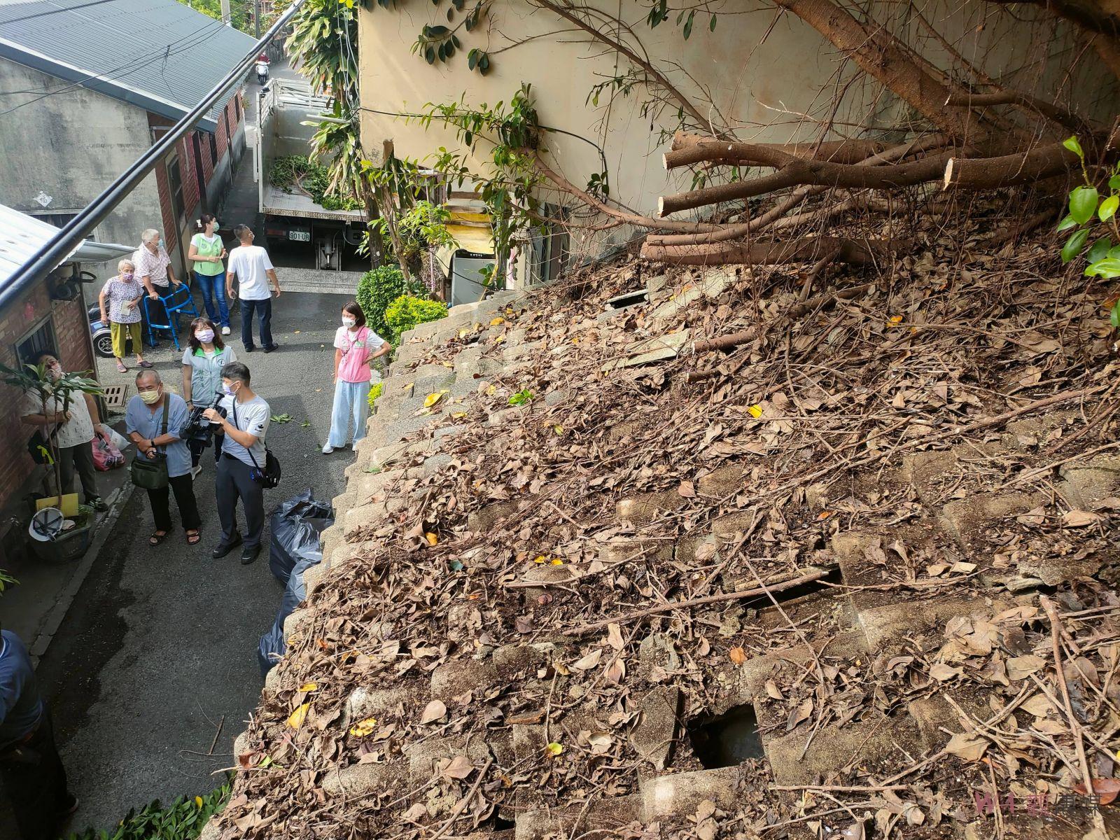 影／大榕樹貫穿屋頂上　多重身心障礙獨居男住「樹屋」 - https://www.watchmedia01.com