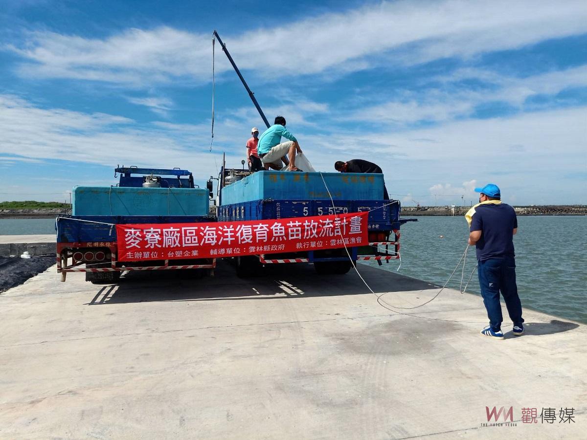 台塑企業攜手雲林區漁會　漁業資源復育魚苗增殖放流突破700萬尾 - https://www.watchmedia01.com