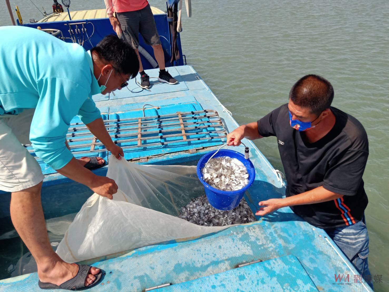 台塑企業攜手雲林區漁會　漁業資源復育魚苗增殖放流突破700萬尾 - https://www.watchmedia01.com