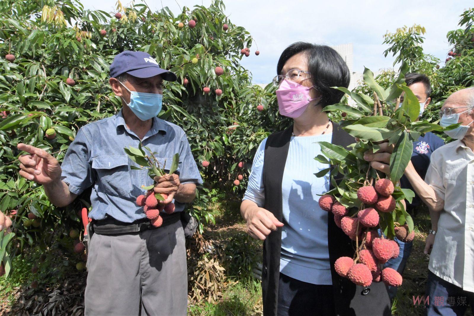 影／嬌貴上市　玫瑰紅荔枝暱稱為「拉鍊荔枝」　秒殺搶訂一空 - https://www.watchmedia01.com