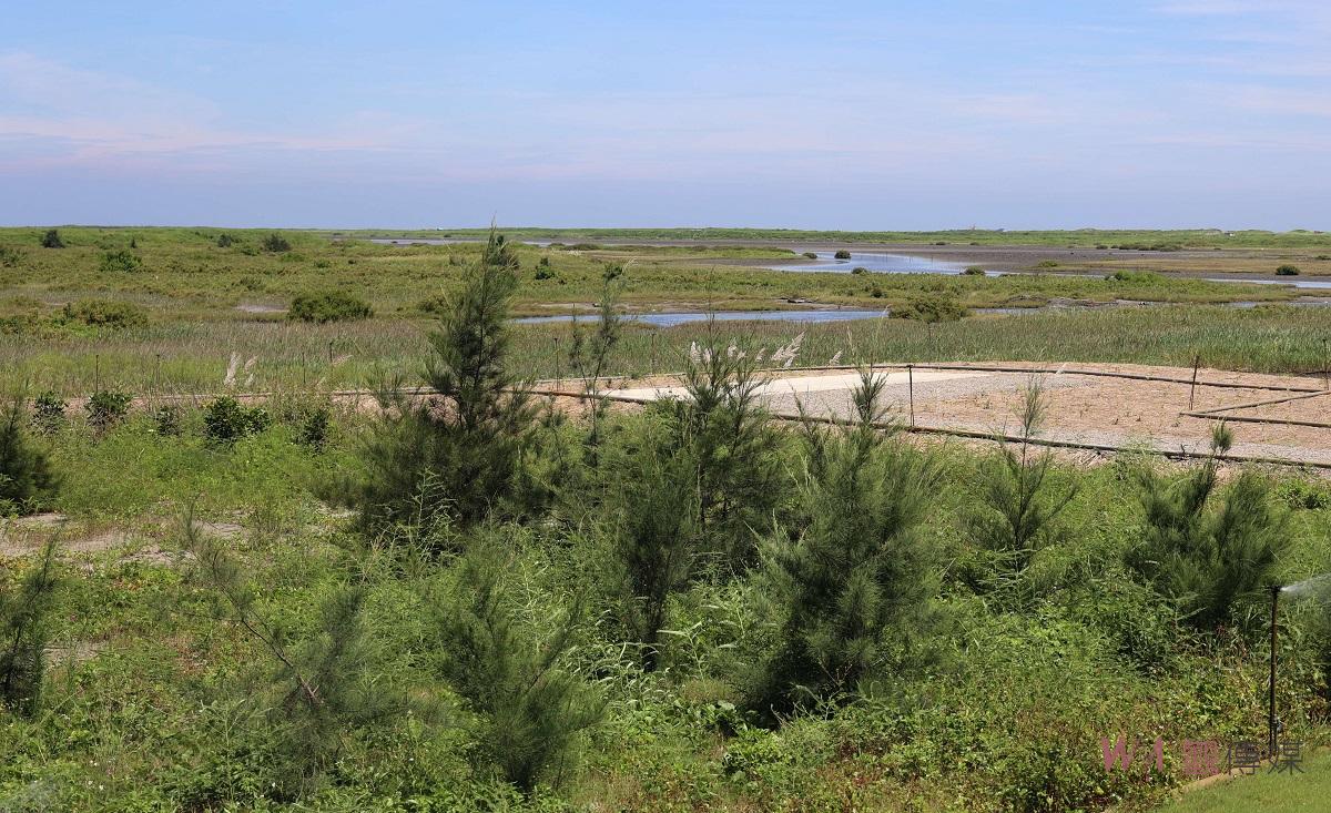 打造濁水溪完整生態發展區域　縣府現勘出海口生態創生基地 - https://www.watchmedia01.com
