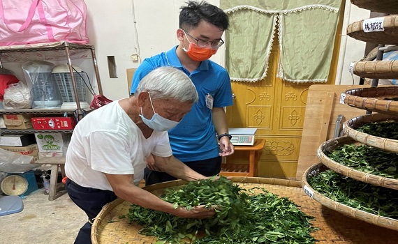 111年南投傳統手工製茶「鹿谷烏龍茶」傳習班圓滿結訓 - https://www.watchmedia01.com