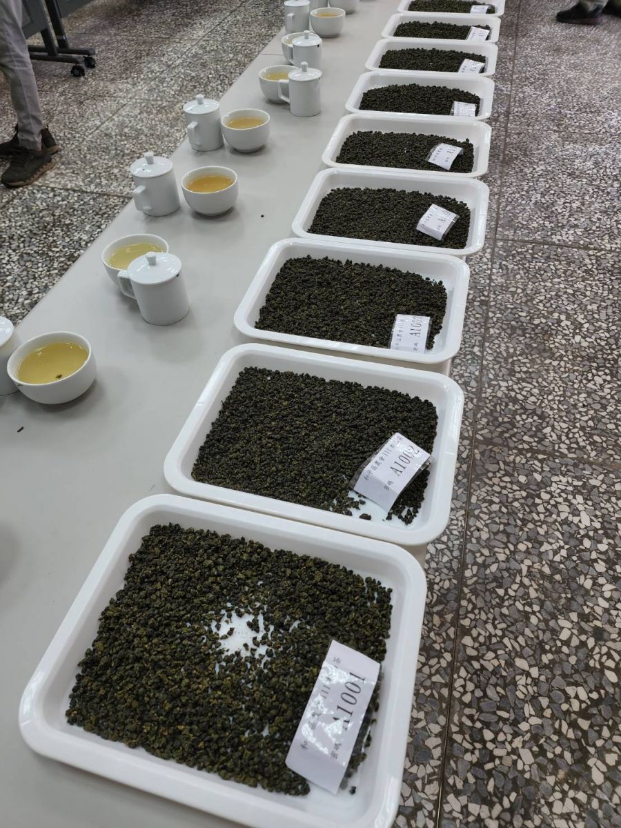 中市梨山茶評鑑結果出爐 黃加棟獲特等獎 - https://www.watchmedia01.com