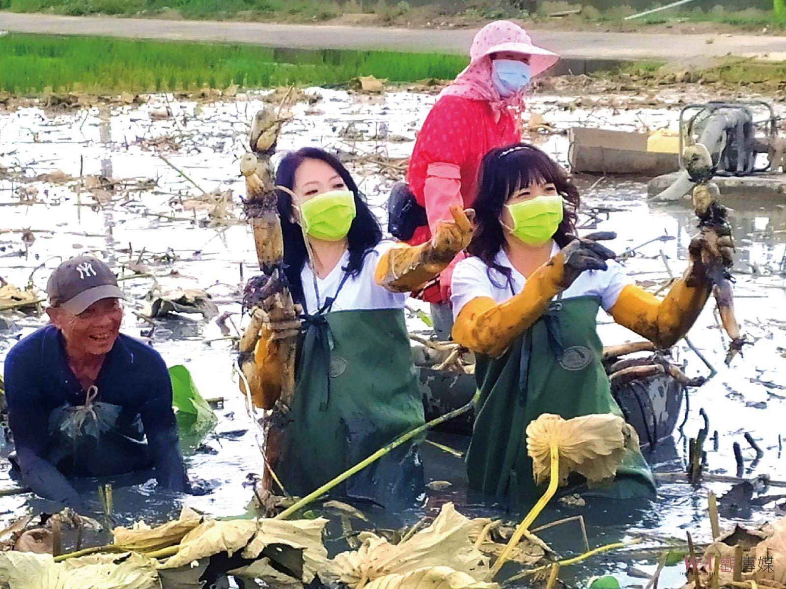 紀錄片導演結合酵素村 領路體驗老鷹之手採藕辛苦 - https://www.watchmedia01.com