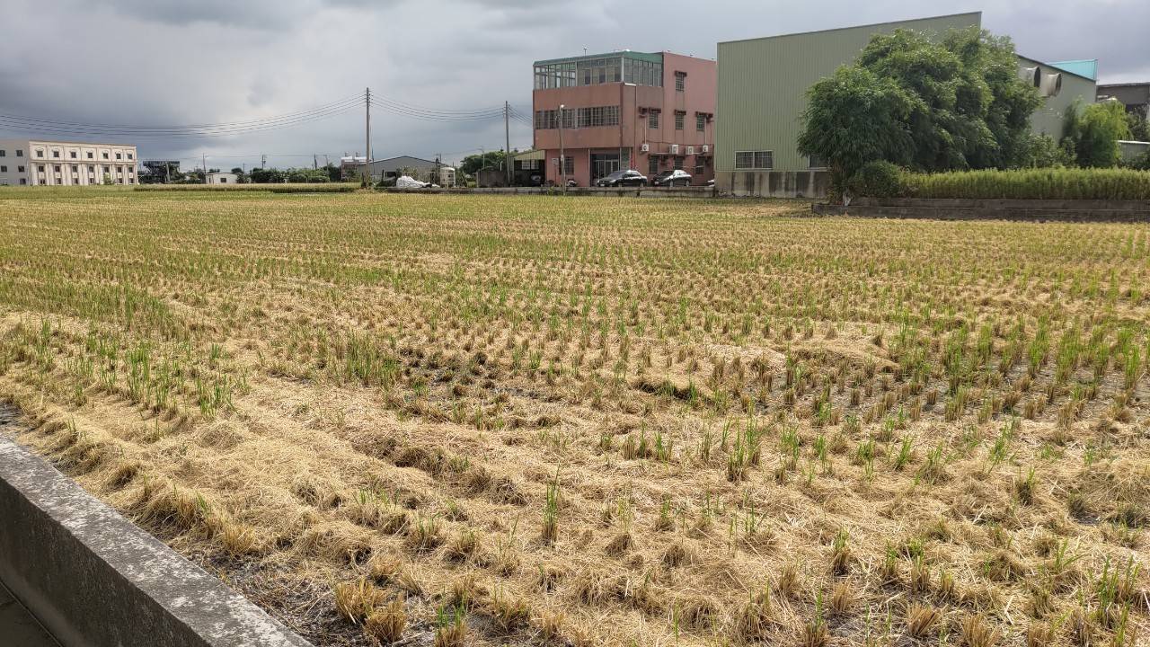 中市1期作稻草剪段翻耕補助 即日起至7/31開放申請 - https://www.watchmedia01.com