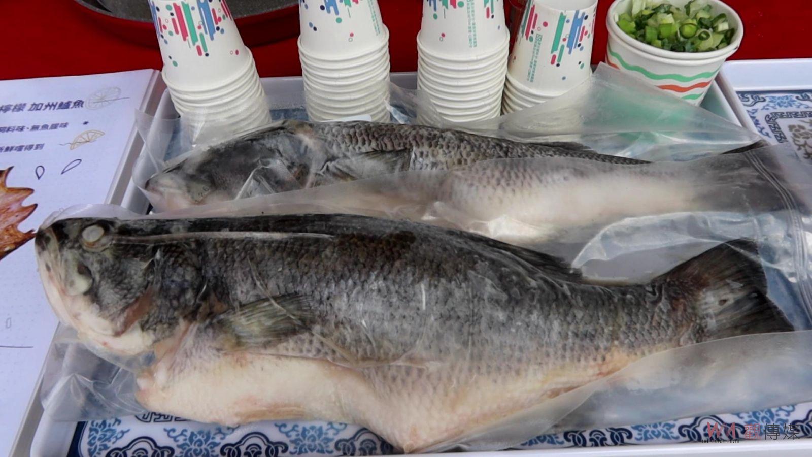影／被魚刺嚇破膽！中年大叔大啖鱸魚湯誤吞魚刺！引膽囊炎切除膽囊 - https://www.watchmedia01.com