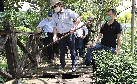 南投縣信義鄉草坪頭觀光茶園步道年久失修林縣長會勘加碼改善 - https://www.watchmedia01.com