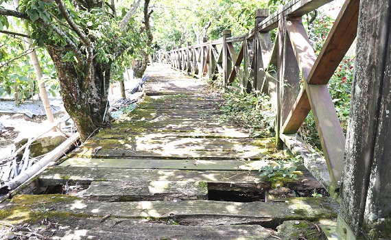 南投縣信義鄉草坪頭觀光茶園步道年久失修林縣長會勘加碼改善 - https://www.watchmedia01.com