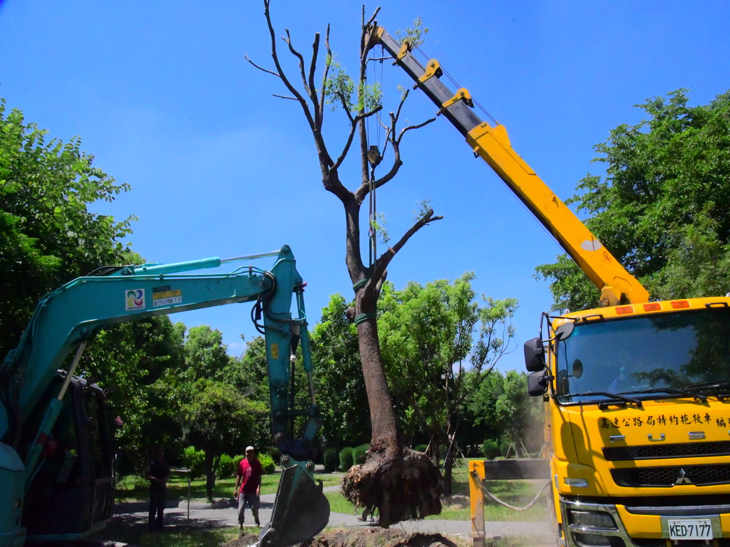 有為機械董座捐贈12棵大樟樹 三義社區公園綠美化增添生力軍 - https://www.watchmedia01.com