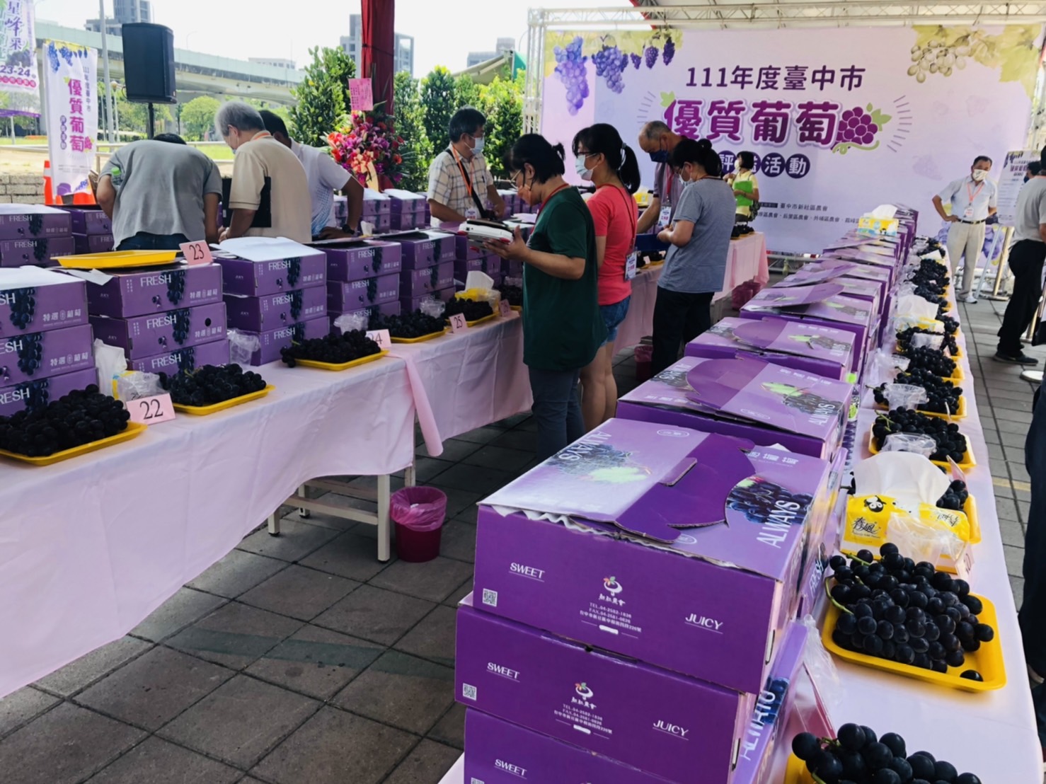 中市優質葡萄評鑑揭曉 李明浚勇奪巨峰葡萄達人 - https://www.watchmedia01.com