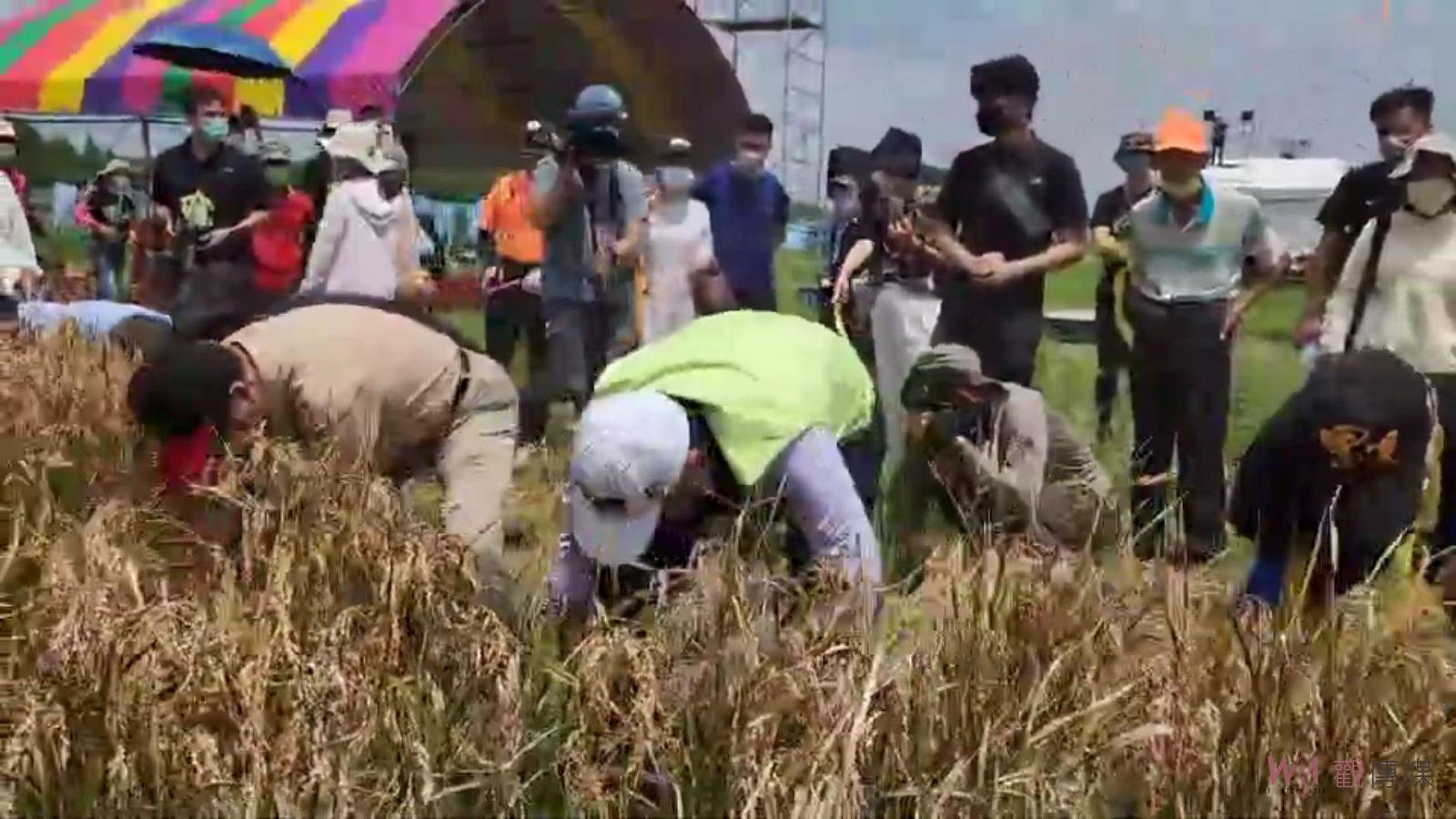 影／重磅回歸！護水十年，江湖「稻」義　吳音寧：傳承護水精神 - https://www.watchmedia01.com