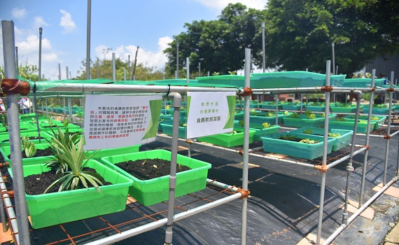 111年度金卓越社區選拔 埔里鎮珠仔山社區及慈恩社區展現營造成果 - https://www.watchmedia01.com