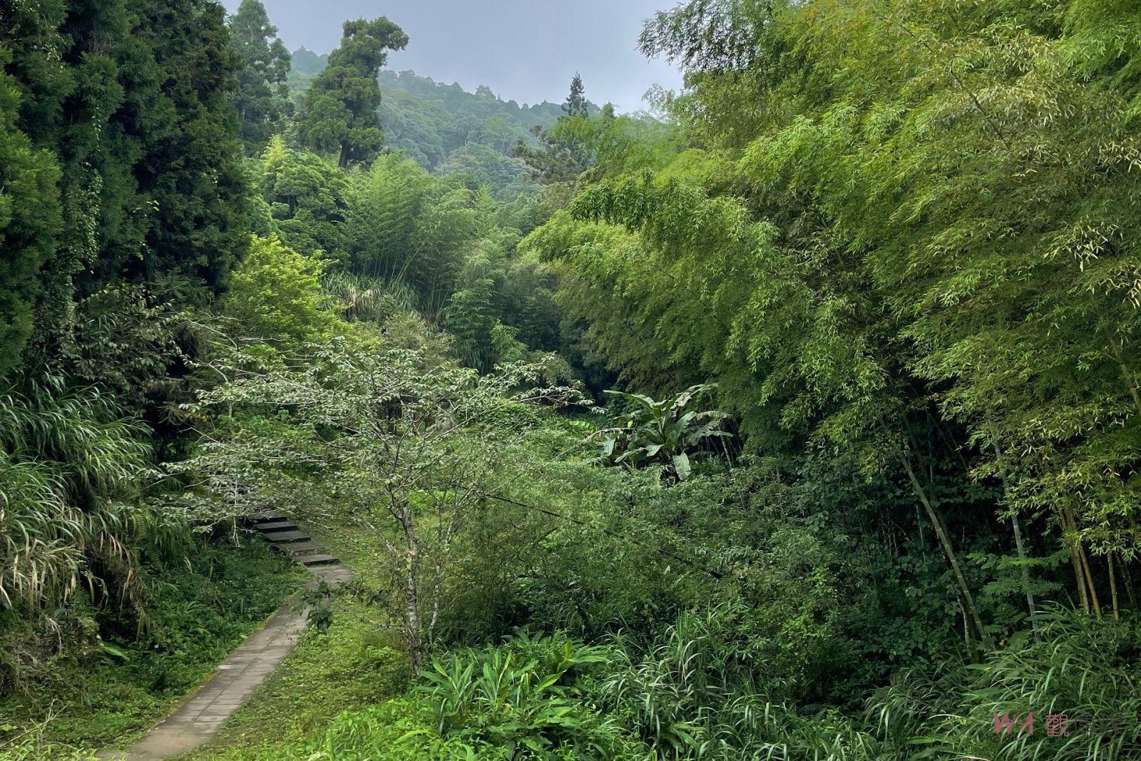 古坑雲嶺之丘滯洪農塘改善 水保局施工前說明簡報 - https://www.watchmedia01.com