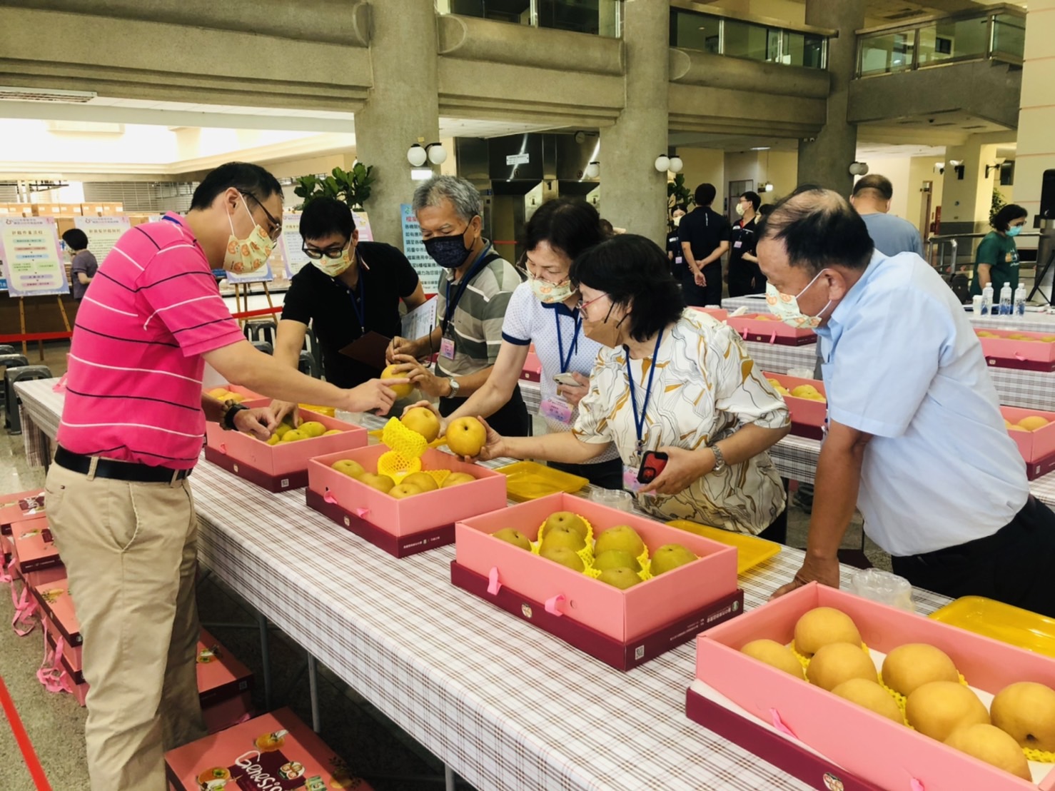 中市優質高接梨評鑑出爐　傅如成榮獲今年度高接梨王 - https://www.watchmedia01.com