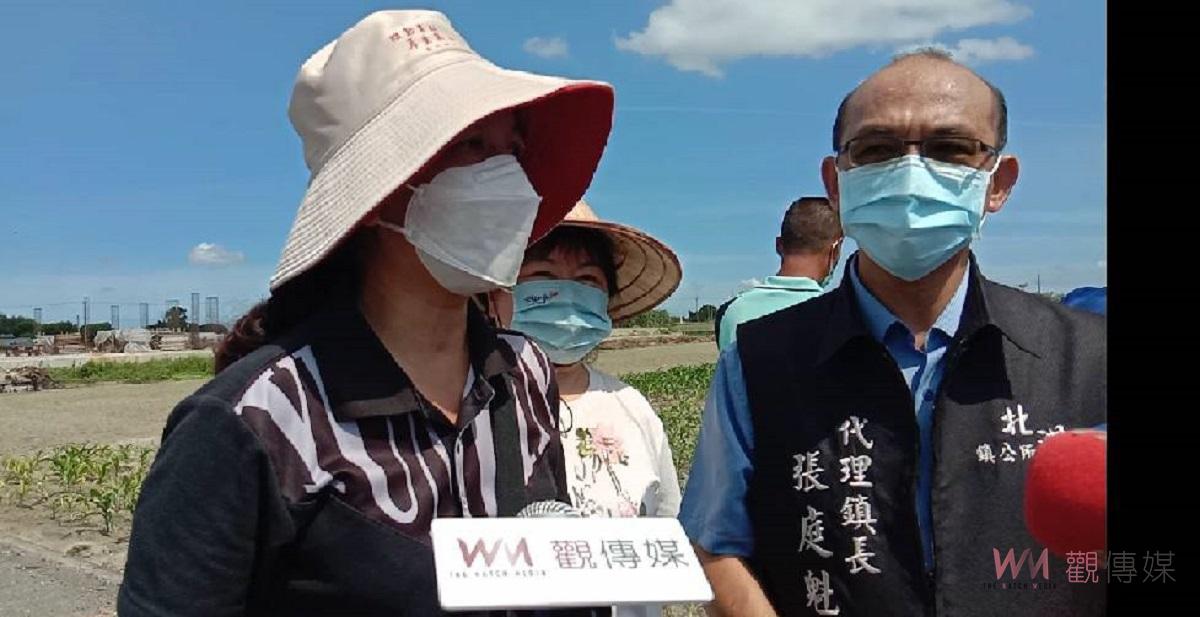 北港硬質玉米發芽率差　縣府啟動四方會勘 - https://www.watchmedia01.com