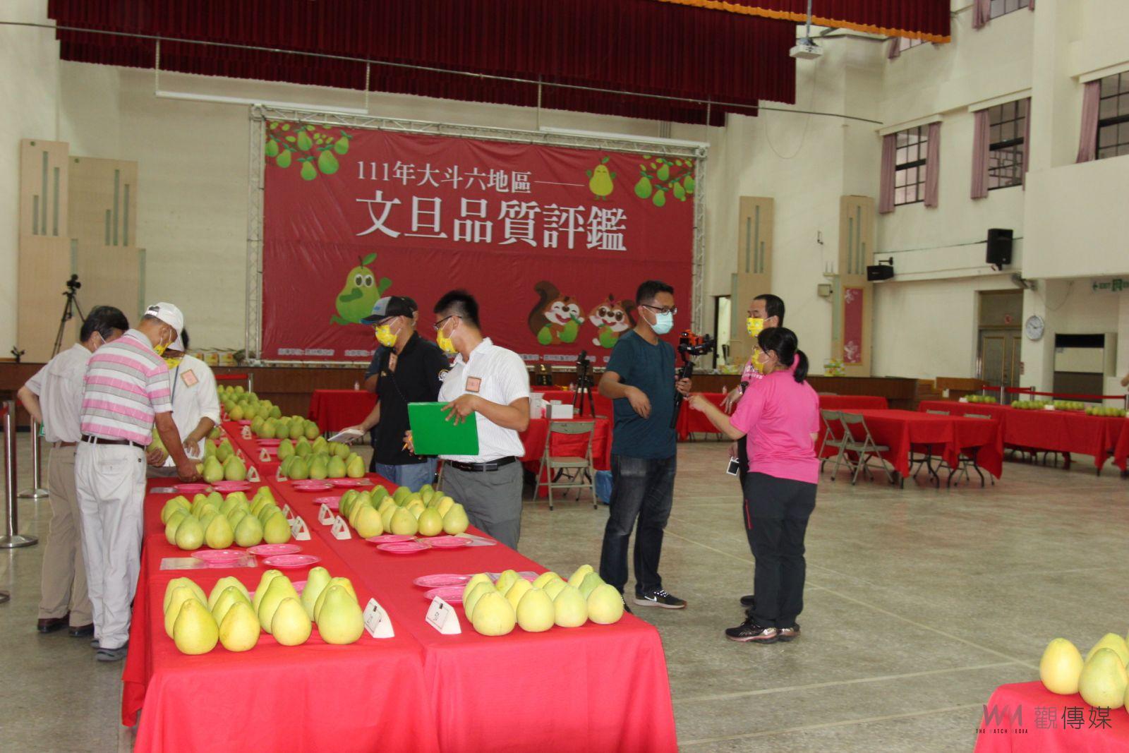 斗六文旦節系列的品質評鑑 陳依惠參評文旦獨獲特等獎 - https://www.watchmedia01.com