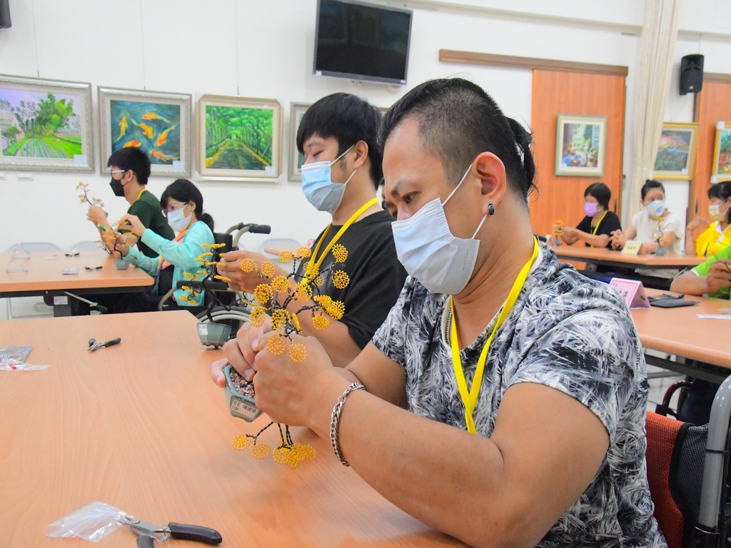 彰化縣脊隨損傷重建協會開設金縷樹盆景課程 為脊傷朋友創藝新發展 - https://www.watchmedia01.com