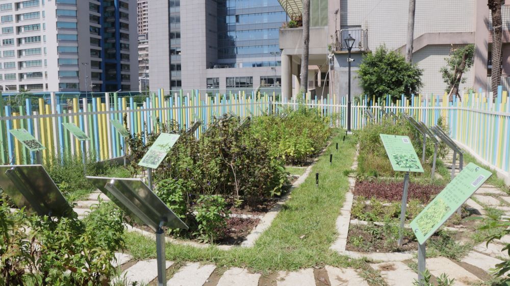 三重神農百草公園揭牌　種植108種藥草呼應神農大帝嚐百草文化意象 - https://www.watchmedia01.com